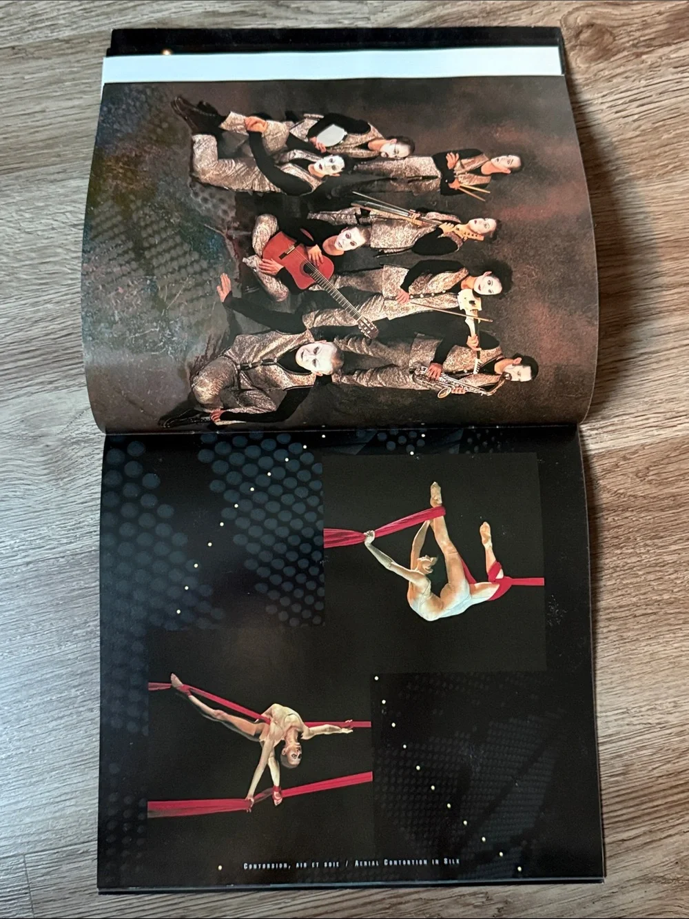 Cirque Du Soleil authentic highly